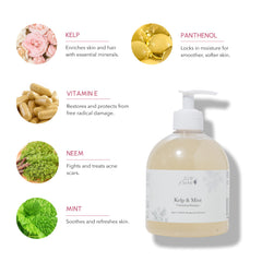 Sea kelp ingredient in 100% PURE Kelp & Mint Shampoo highlights hydration and body