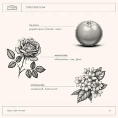 A LA MAISON Citrus Blossom label showcasing authentic French craftsmanship.
