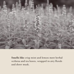 A LA MAISON Recyclable pouch supports eco-conscious refills.