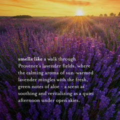 A La Maison Lavender Aloe Body Wash lather reveals a luxurious fragrance-rich cleanse.