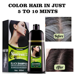 ABBASI & CO Noni Black Hair Dye Shampoo easy at home use without tools