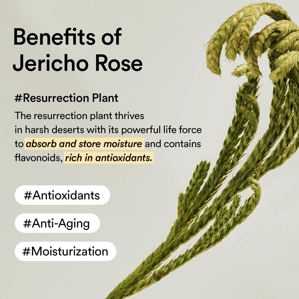 Abib Jericho toner pads close-up for refreshing skin prep.