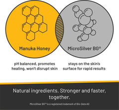Absorbine Silver Honey Rapid Shampoo application scene targets affected areas with gentle massage.