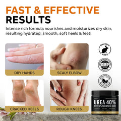 Ingredients scene with Tea Tree Oil, Aloe Vera, Shea Butter in Adellina cream.