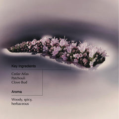 Aesop Eleos Cedar Atlas aroma with herbaceous, woody notes.
