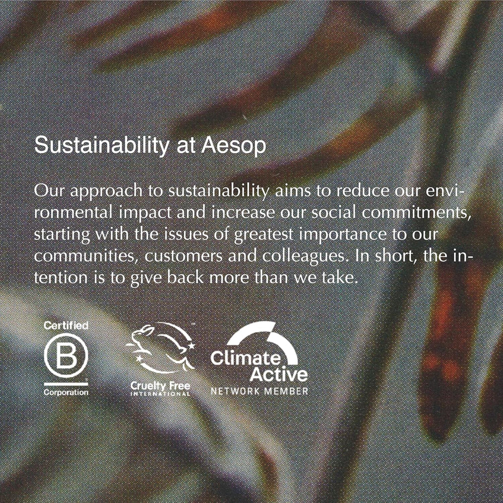Aesop Geranium Leaf dual-pack display in store.