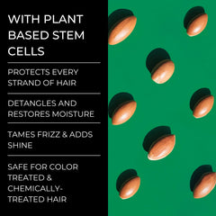 Alevai Stem+ Conditioner cream swirl highlighting rich texture for daily use