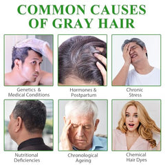 ALIVER Hair Dye Shampoo foam lather on hair for even gray coverage.