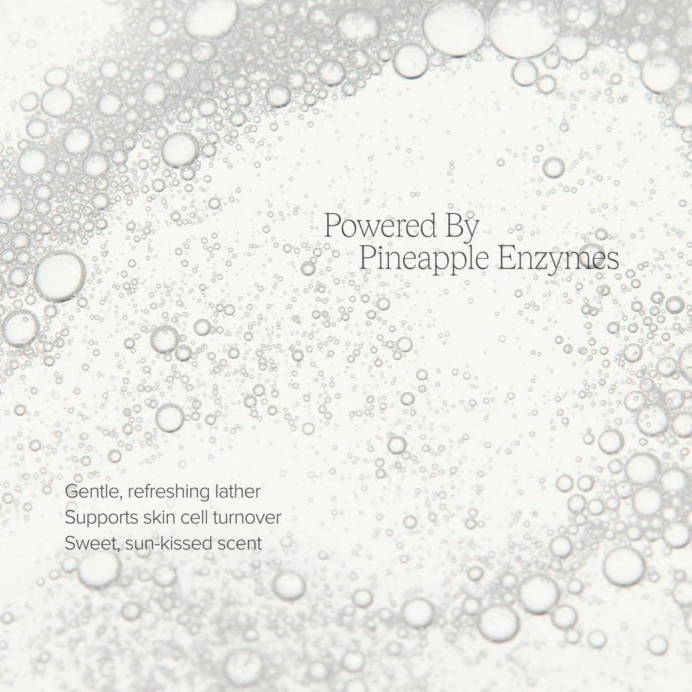 Alo Enzyme Cleanser amla ingredient depiction promoting antioxidant support
