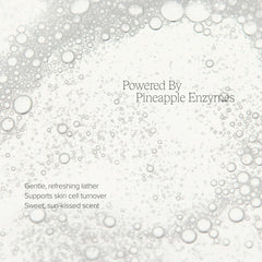 Alo Enzyme Cleanser amla ingredient depiction promoting antioxidant support