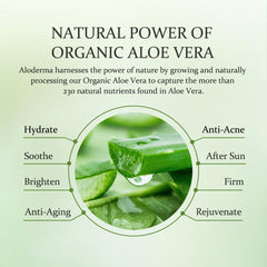 Aloderma caffeine and sage oil essence highlights refreshing eye-supporting blend.
