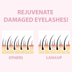 Amber Lash Curlerful tubes arranged for at home use.