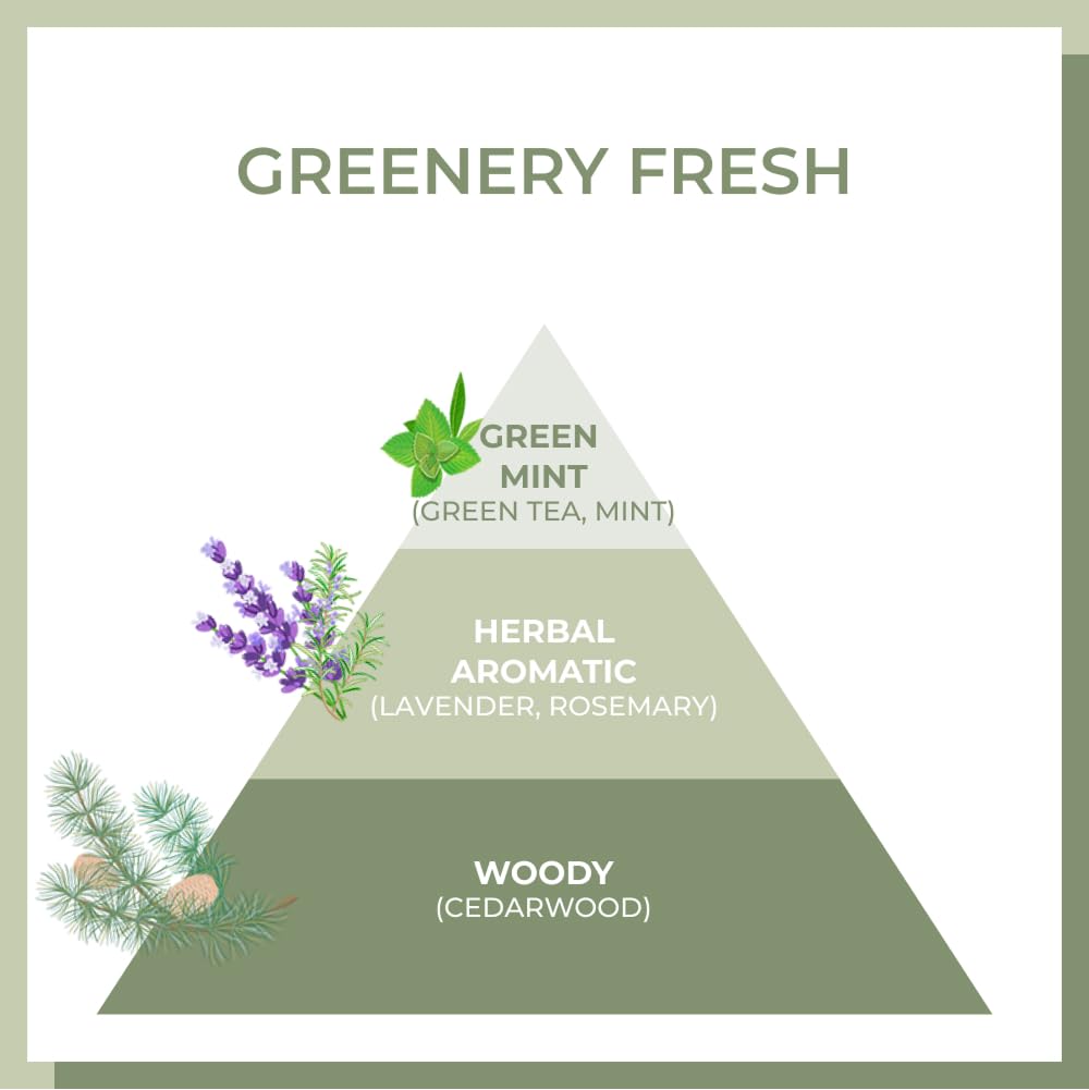 White leaf green tea imagery on packaging representing amino acid-rich nourishment.
