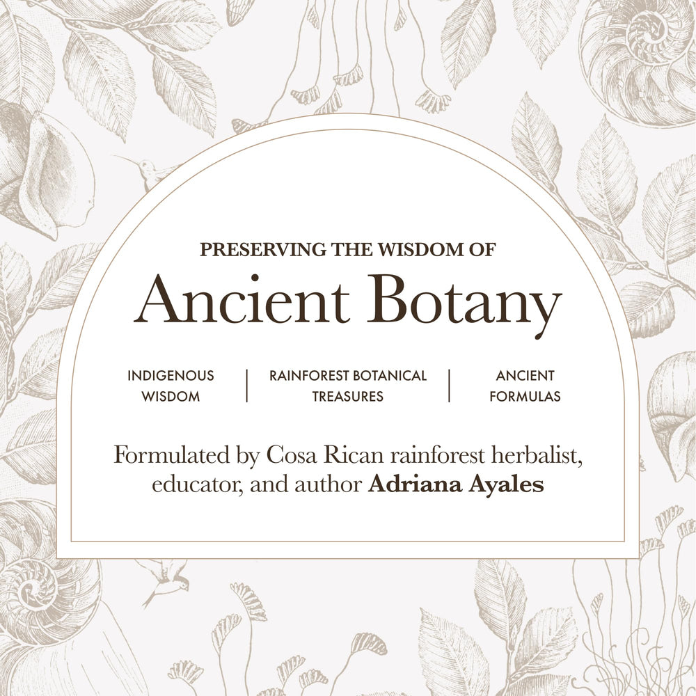 Anima Mundi rose-scented body oil displayed with natural packaging.
