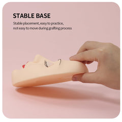 ANNAFRIS ideal for training and teaching in beauty studios.