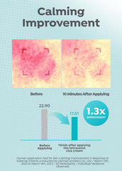 A'PIEU Madecassoside Tetrasome Cream packaging front conveying trust in centella-based skin support.