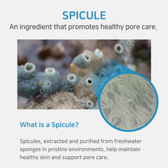 APLB Spicule exfoliation detail; micro-exfoliating texture for renewal.