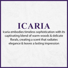 ARIF Icaria transitions from day to night with ease.
