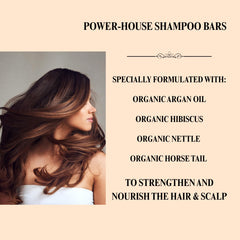 Aspen Kay Naturals Moroccan Argan Oil Shampoo Bar shows herbal blend for hair care.
