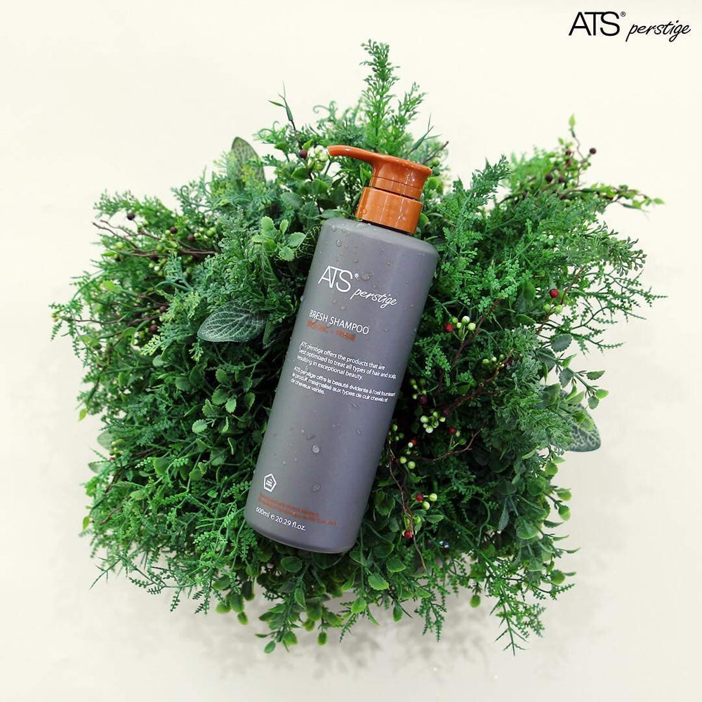 ATS Professional shampoo with clay mineral and menthol for oil control