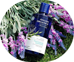 Natural ingredients backdrop suggesting a plant based cleanse for refreshed hair