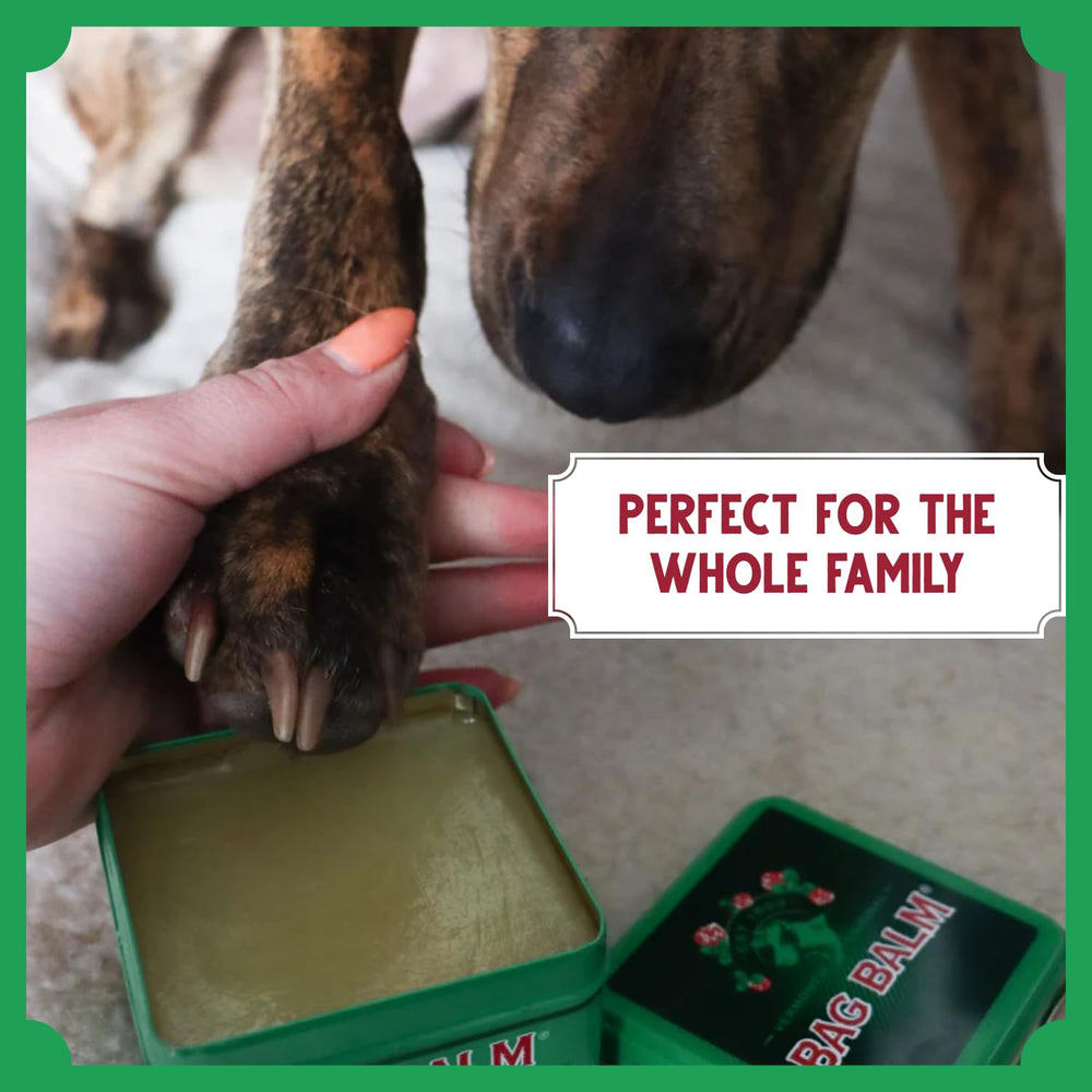 Bag Balm farm and pets scene captures everyday pet care on a rural property