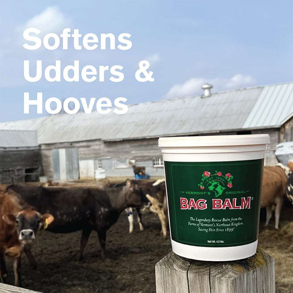 Bag Balm labeled with lanolin and petrolatum for skin softness