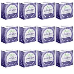BAMBOEARTH lavender solid shampoo bar close-up, natural texture and conditioning potential.