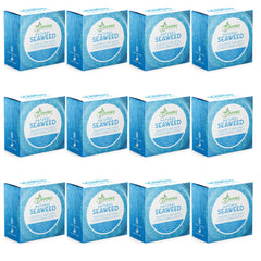 BAMBOEARTH solid shampoo bar seaweed pack with eco-friendly packaging for travel