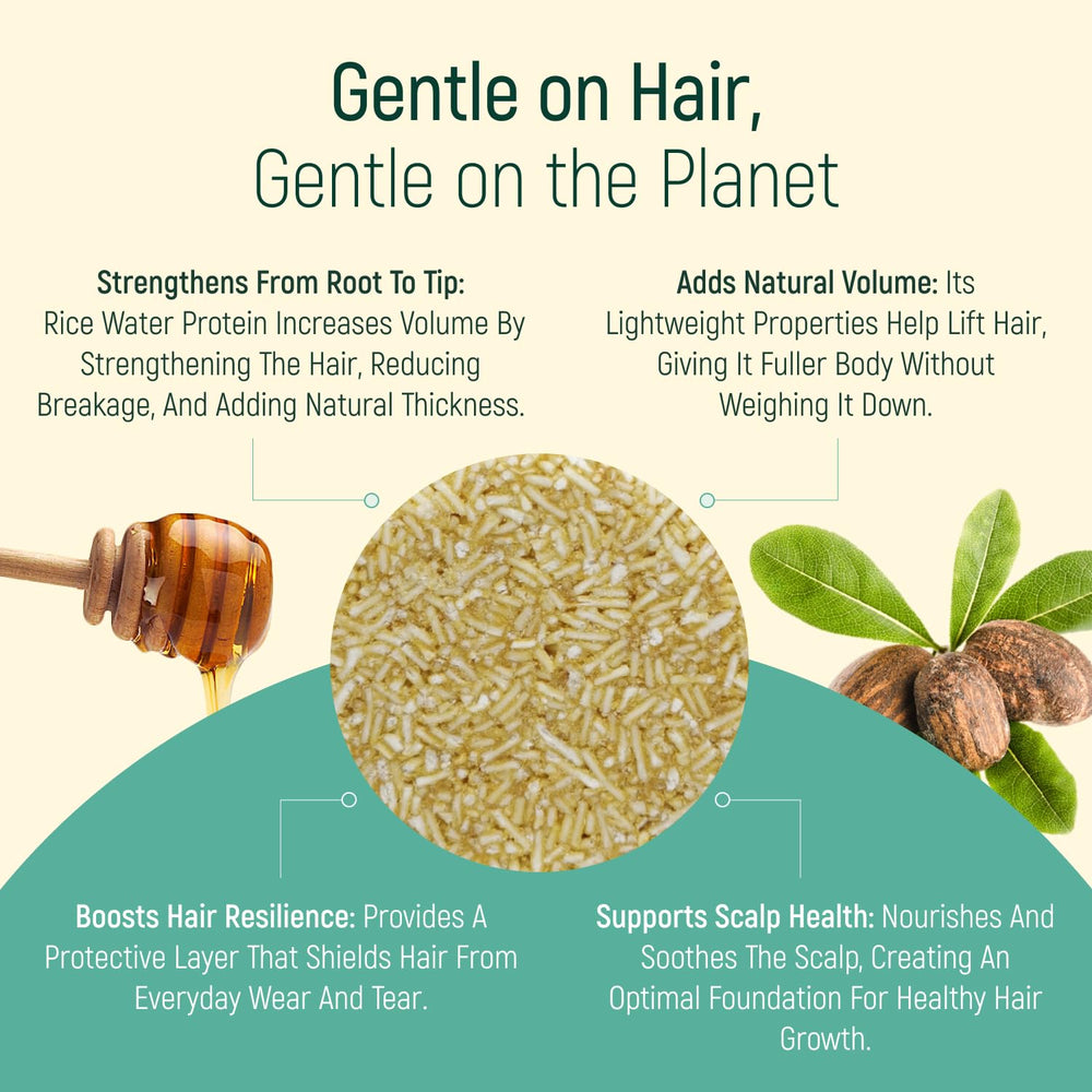 BAMBOEARTH travel-friendly shampoo bars fit in bags for journeys.