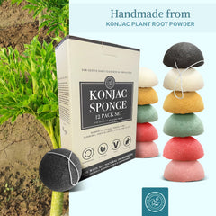 Bare Essentials Living konjac sponge with hang-dry design for hygienic between uses