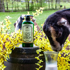 Bates Family Farm lotion bottle with pump enables easy, mess-free application
