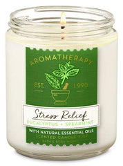 Bath & Body Works Eucalyptus Spearmint set for soothing shower routine and relaxing evenings.