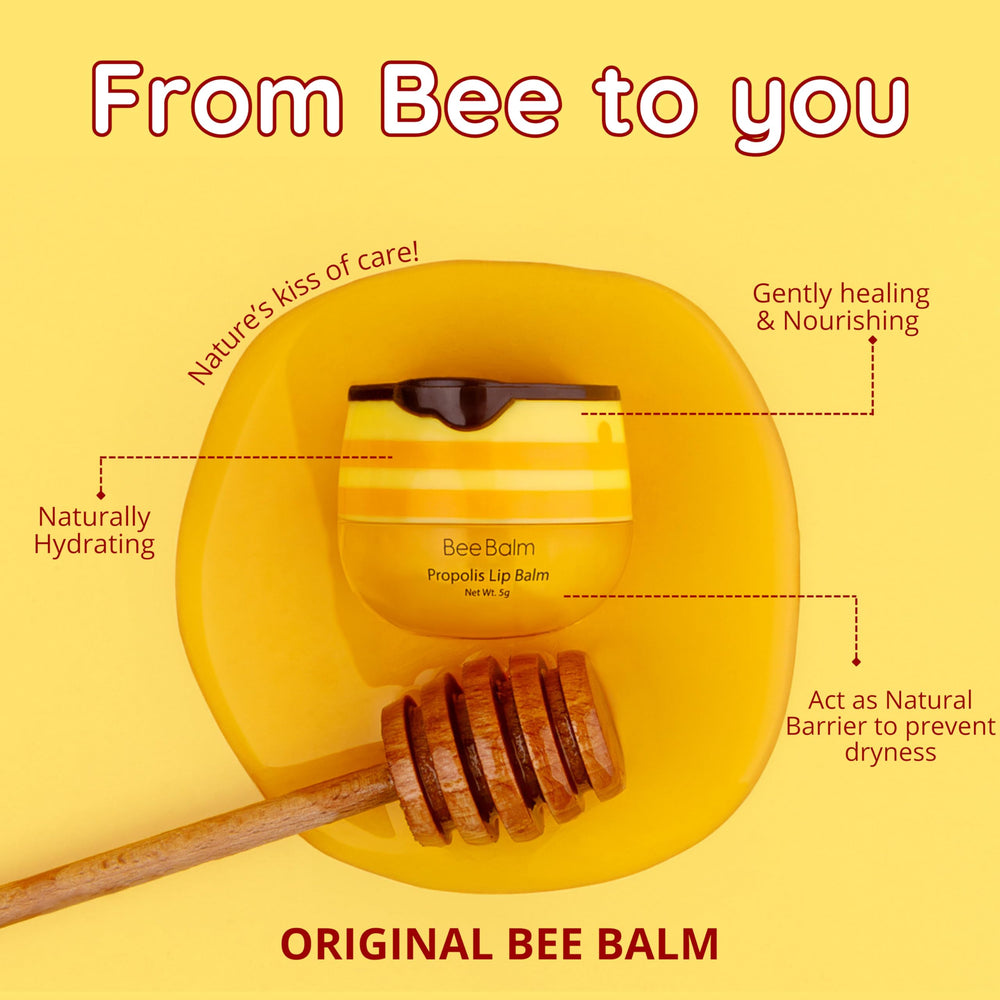 Two-pack Bee Balm lip balm for convenient daily use.