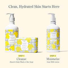 Fresh citrus scent note enhances daily hand care.