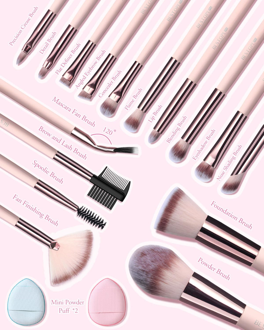 Six face brushes and ten detail brushes cover full makeup routine