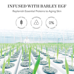 Bioeffect EGF Serum using sensitive skin context, fragrance-free formula.
