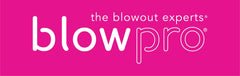 Blowpro Faux Dry Shampoo dry-powder application dries quickly and absorbs oil.