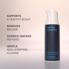 Blueprint Bryan Johnson Peptide Shampoo scalp application, invigorating daily wash for balanced scalp.
