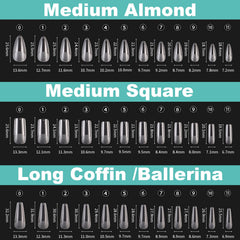 BlueZOO 12 sizes labeled 0-11 for precise fitting