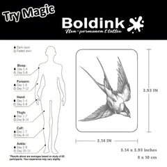 Boldink Bird 2 tattoos withstand water for events and daily wear.