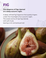 BOM Petit Fig hyaluronic acid ingredient in skincare bottle label