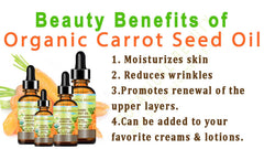 Botanical Beauty carrot seed oil for hair care and shine