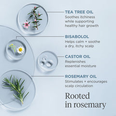 Briogeo Rosemary bottle beside fresh herb stems emphasizing natural infusion.