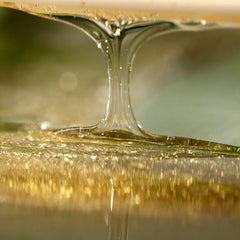 British M Kombucha Shampoo packaging, refill option supports an eco-friendly routine.