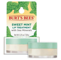 Burt's Bees Sweet Mint lip treatment tube delivers hydration and subtle shine.