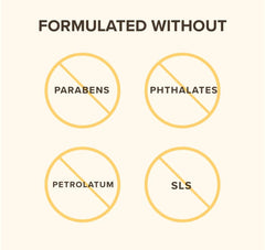 Shelf-ready Burt's Bees tinted lip balm multipack