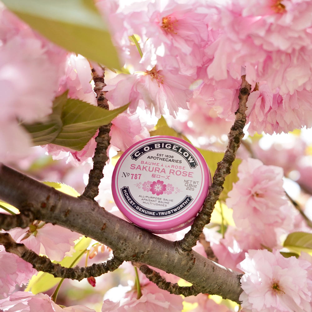 Gift-ready packaging for C.O. Bigelow Sakura Rose Salve set