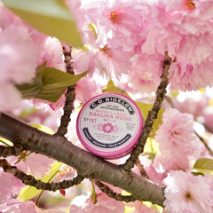 Gift-ready packaging for C.O. Bigelow Sakura Rose Salve set