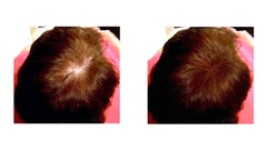 Caboki Auburn application-dusting demonstrates easy, mess-free use.